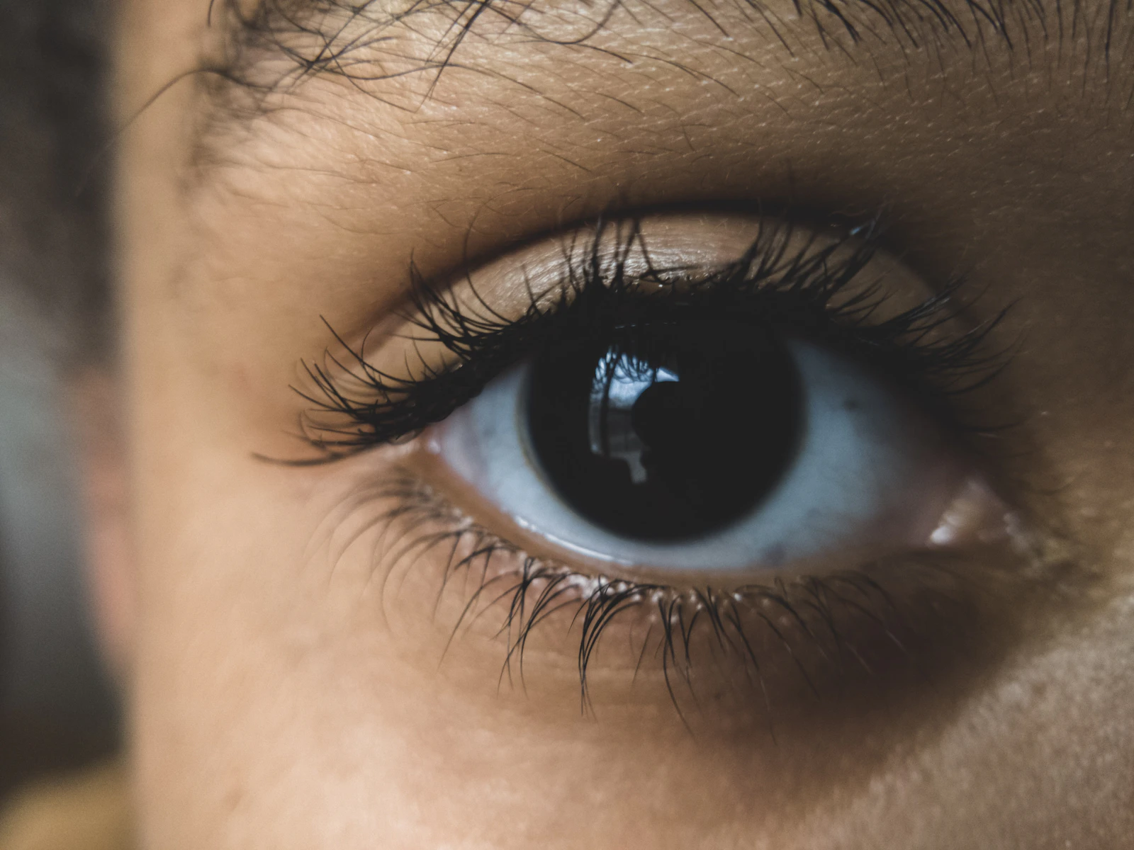 human eye